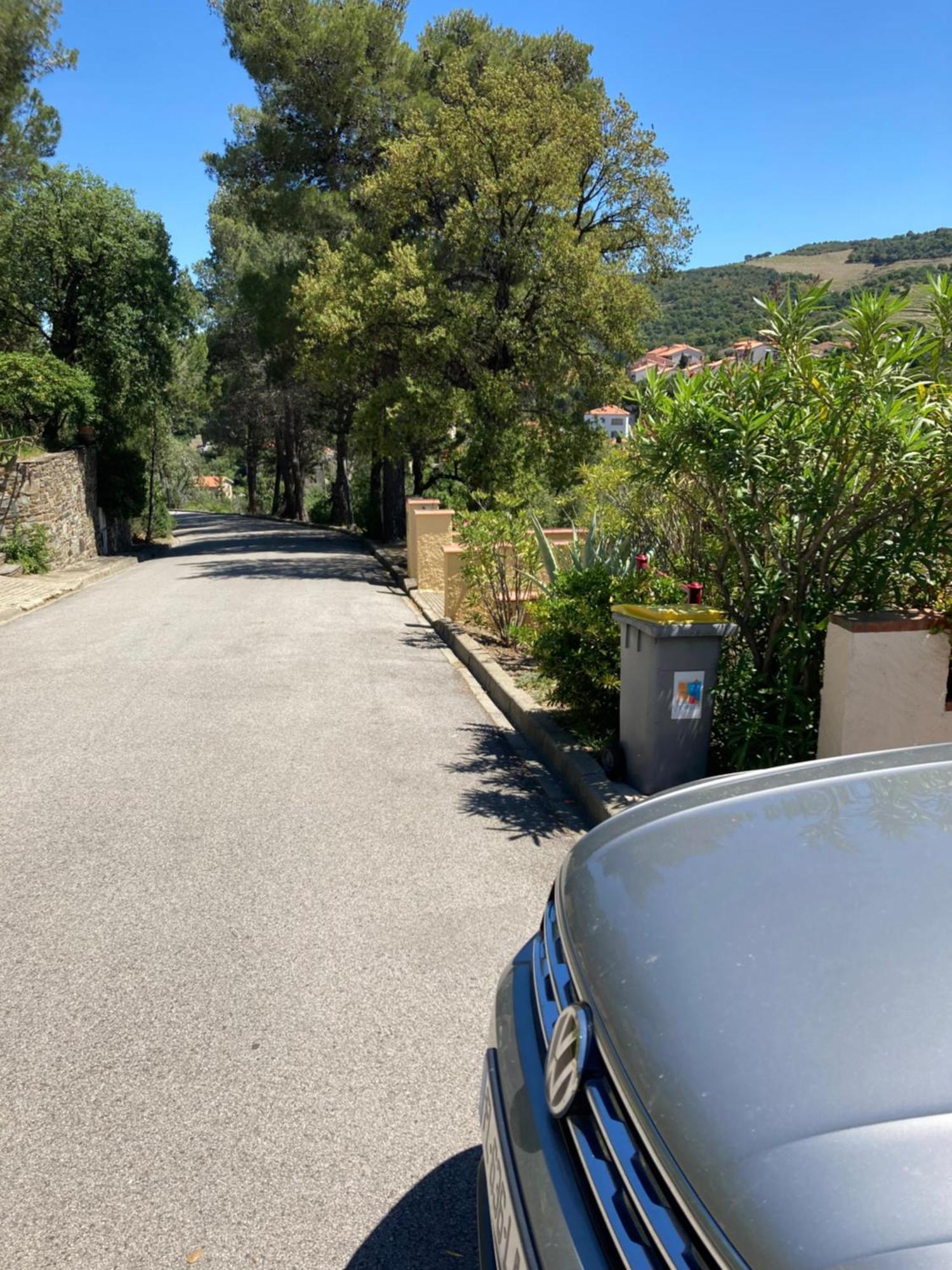 Les Chenes-lieges D'ambeille * Collioure