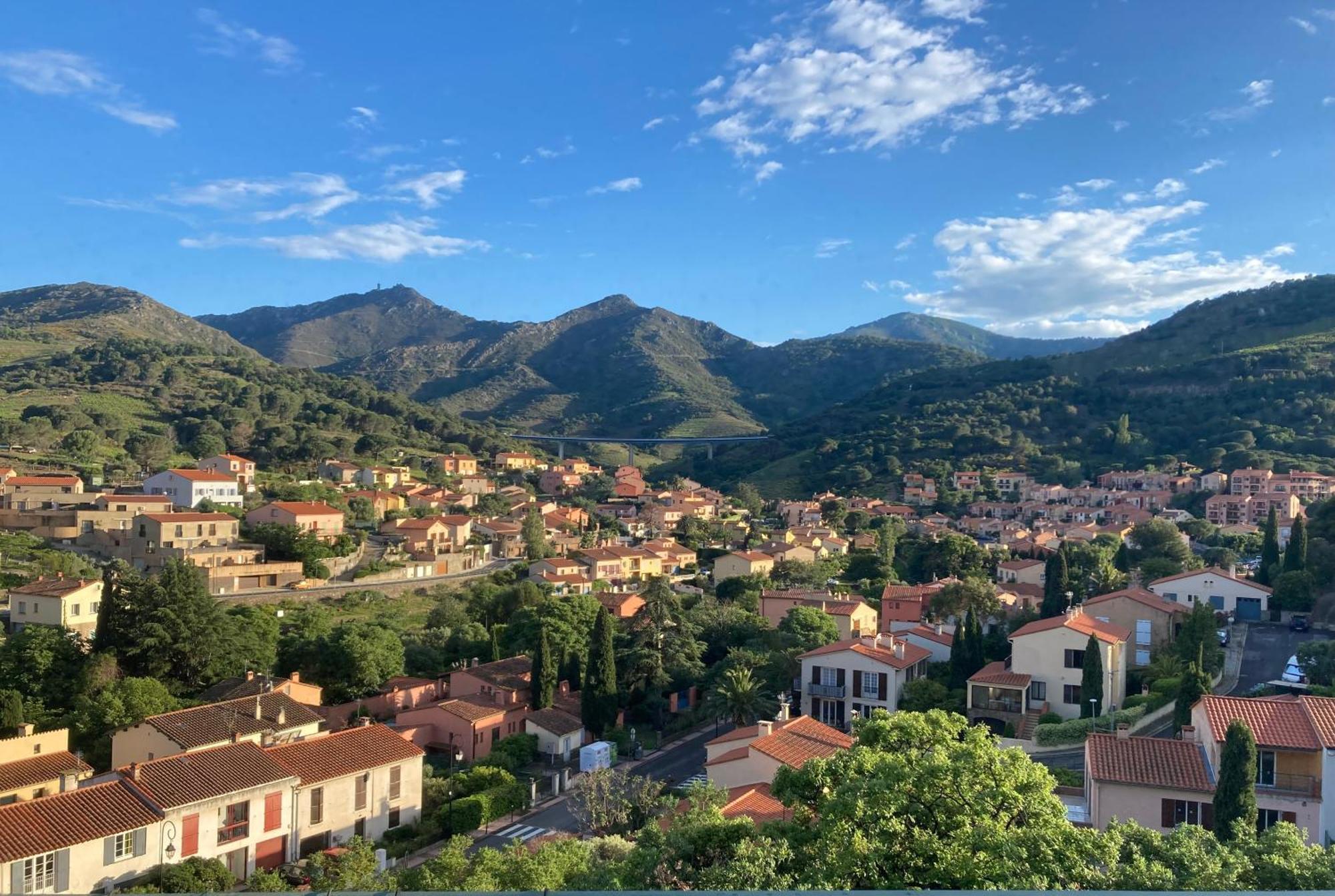 Les Chenes-lieges D'ambeille * Collioure
